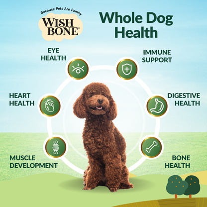 Wishbone Pasture New Zealand Lamb Dry Dog Food, 4 lb bag, gluten-free and grain-free formula for muscle health, digestion, and a shiny coat.