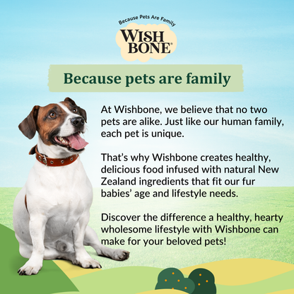 Wishbone Pasture New Zealand Lamb Dry Dog Food, 4 lb bag, gluten-free and grain-free formula for muscle health, digestion, and a shiny coat.